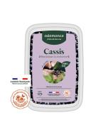Cassis blackdown et andorine en purée 1kg - switch ancienne ref 32356