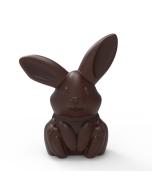 stampo coniglietto pasqua di valrhona