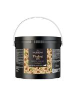 pralinato nocciola 66 fruttato di valrhona
