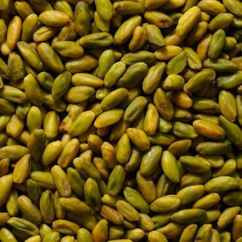 pistacchi interi pelati di pariani