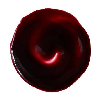 pasta concentrata di mirtillo di sosa