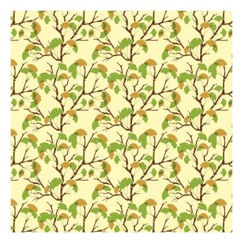 trasferibile ginkgo di chocolatree