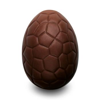 uovo pralinato fruttato 55 rivestimento cioccolato fondente di valrhona