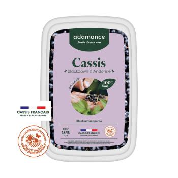 Cassis blackdown et andorine en purée 1kg - switch ancienne ref 32356