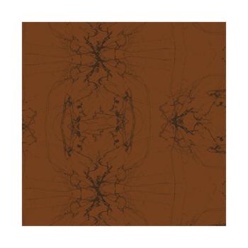 trasferibile marmo di chocolatree