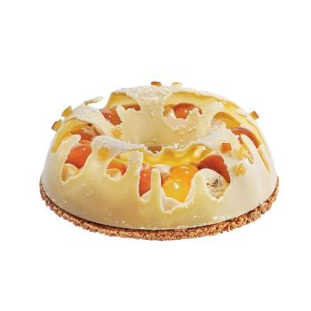 stampo entremets corona 6 8 porzioni di valrhona