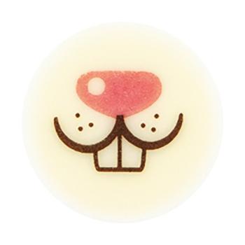 decorazione cerchio muso coniglietto pasqua di chocolatree