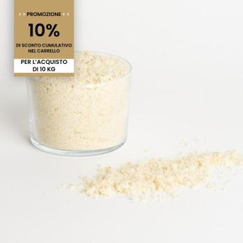 promozione polvere tanto per tanto per macaron 10 kg di sosa