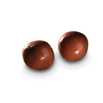 fantaisie avelinas lait di valrhona