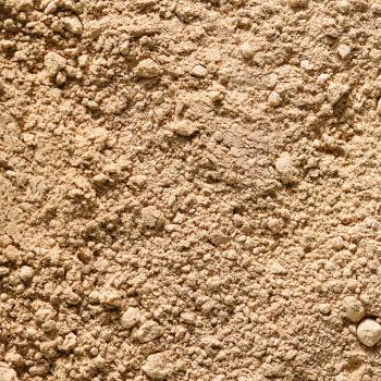 farina di nocciole disoleate di pariani