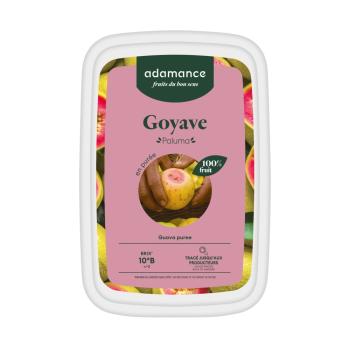 guava paluma in purea surgelata 1 kg di adamance