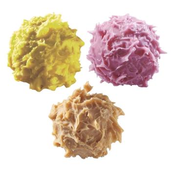 sensation panache chardons di valrhona