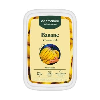 banana cavendish in purea surgelata 1 kg di adamance