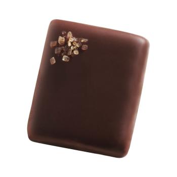 promesse gianduja biscuit noir di valrhona