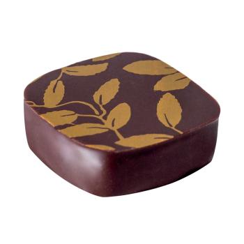 sensation ganache the jasmin di valrhona