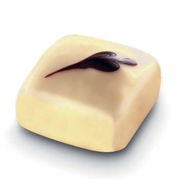 sensation praline intense ivoire di valrhona