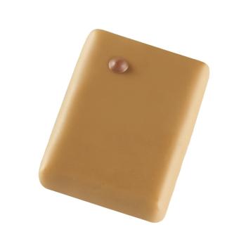 promesse praline noisette dulcey di valrhona