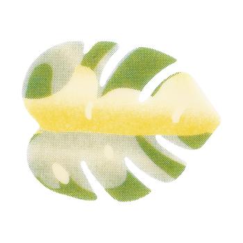 decorazione foglia esotica di chocolatree