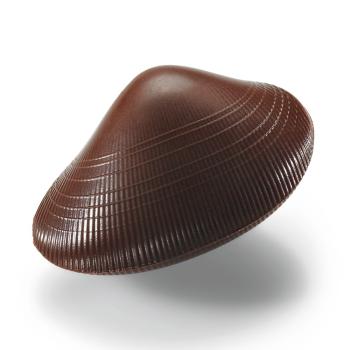 pralinato mandorle e nocciole fondente 5 forme di valrhona