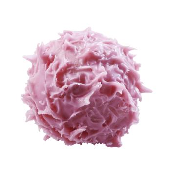 sensation chardon framboise di valrhona