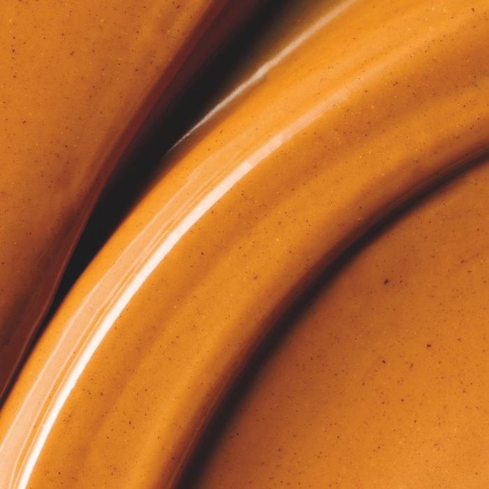 pralinato nocciola 50 caramellato di valrhona
