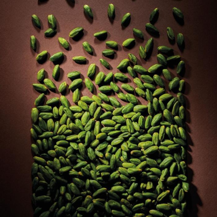 pralinato pistacchio 42 fruttato di valrhona