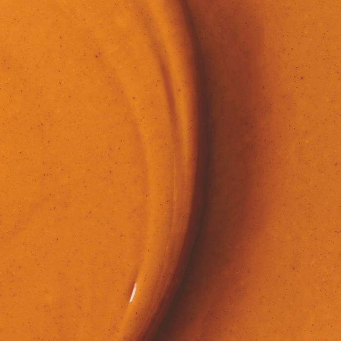 pralinato nocciola 60 caramellato di valrhona