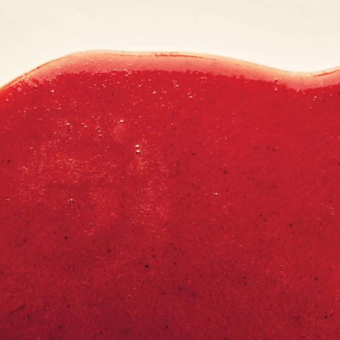 fragole clery charlotte in purea 1 kg di adamance