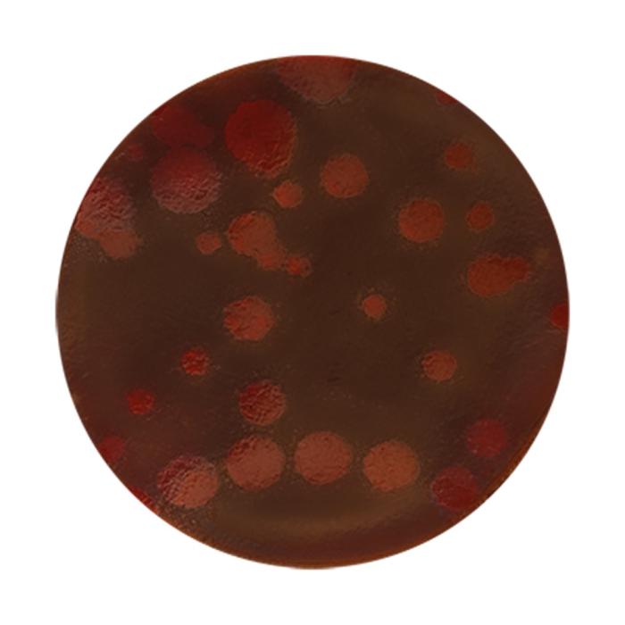 mini decorazioni rotonde maculate di chocolatree