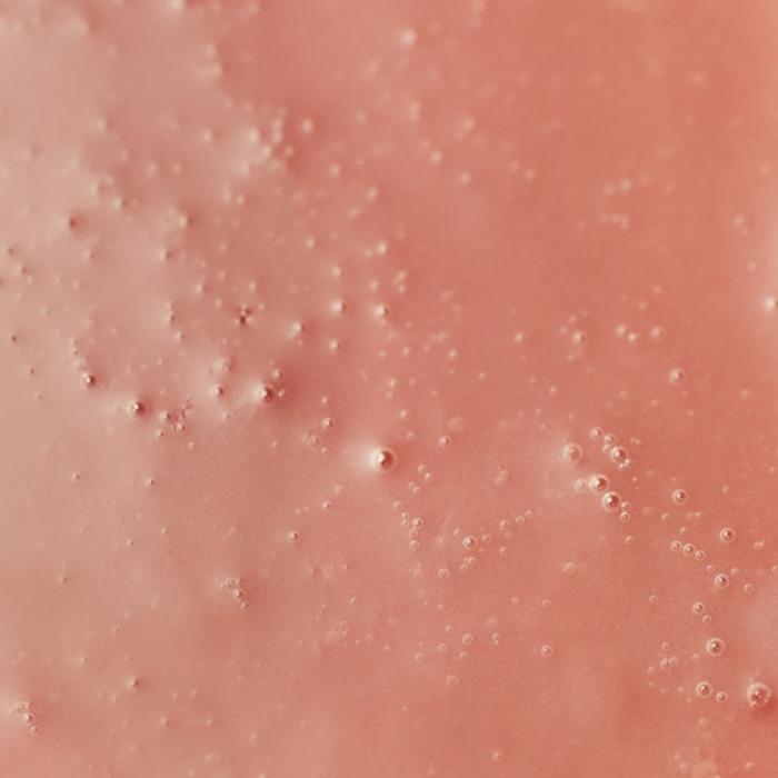 pesca onyx bellerime in purea 5 kg di adamance