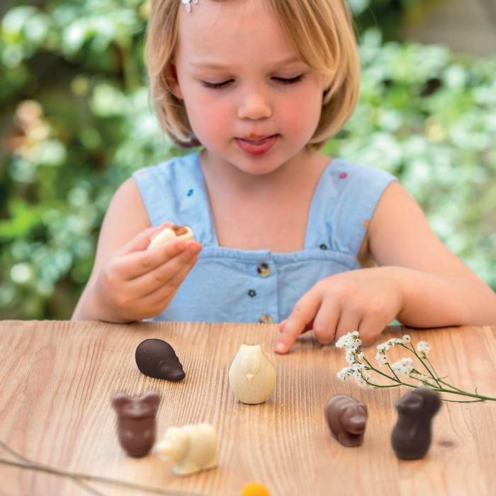 stampo animaletti del bosco di valrhona