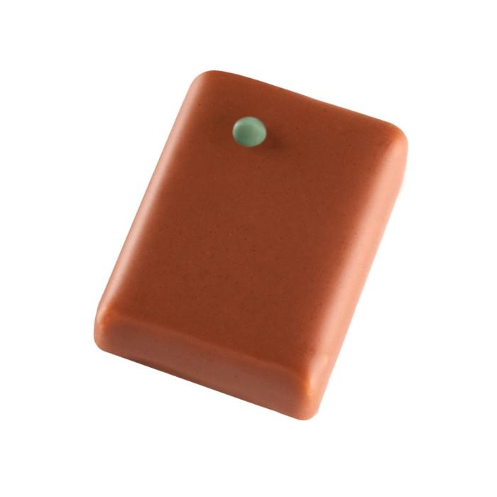 promesse praline pistache lait di valrhona