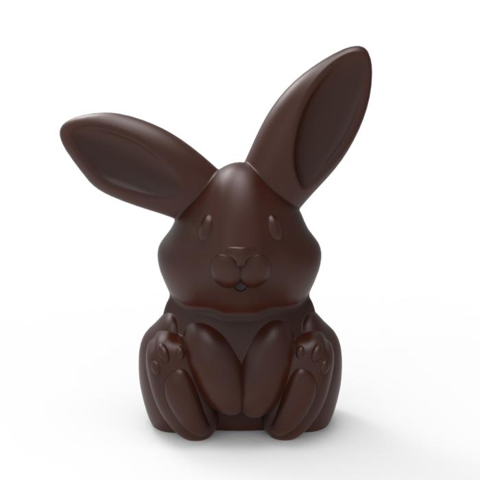 stampo coniglietto pasqua di valrhona