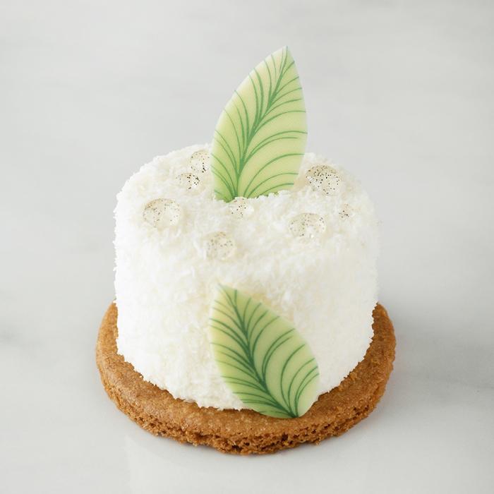 decorazione foglia eleganza di chocolatree