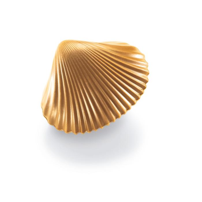 pralinato mandorle e nocciole dulcey 5 forme di valrhona