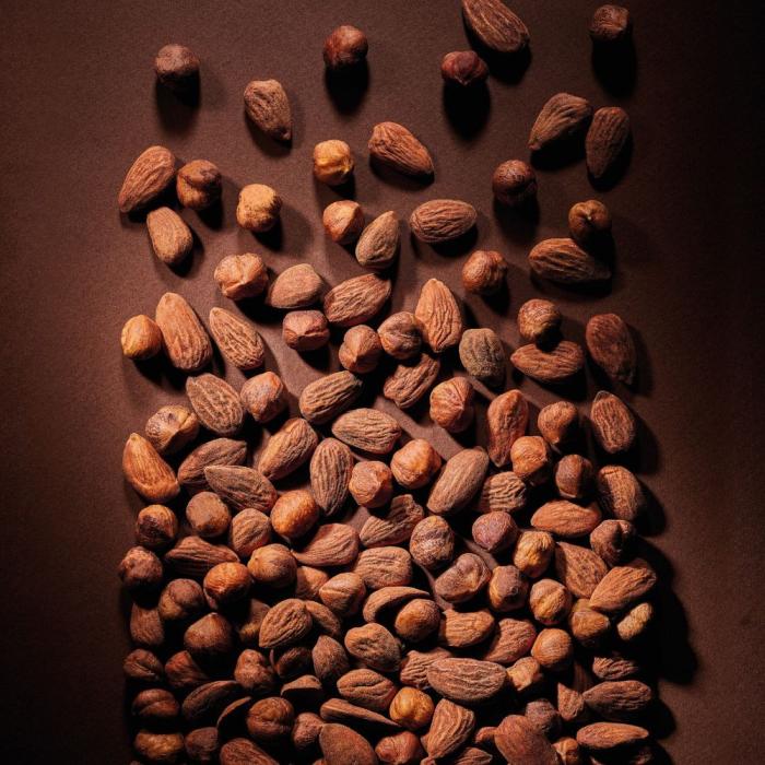 pralinato mandorla nocciola 50 fruttato di valrhona