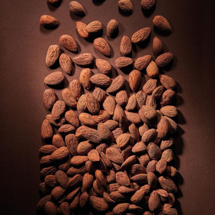 pralinato mandorla 60 caramellato di valrhona