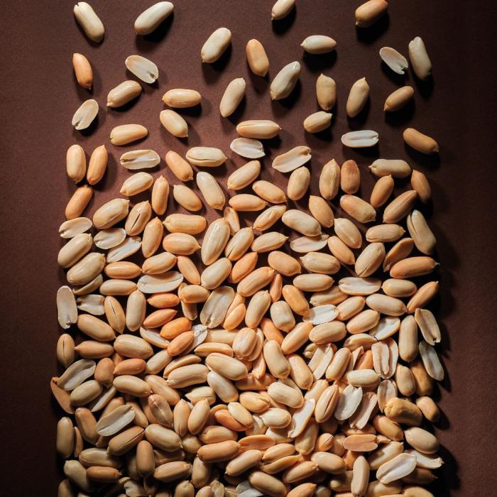pasta di arachidi 70 di valrhona