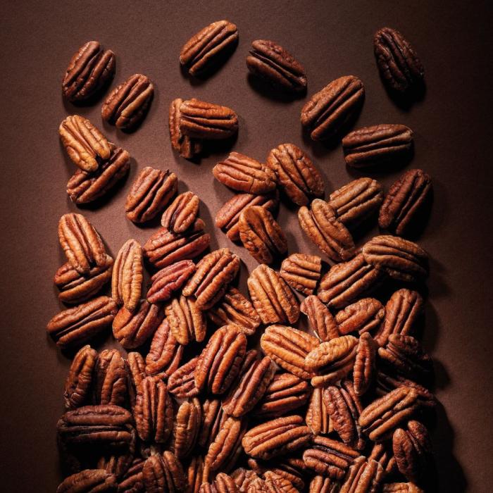 pralinato pecan 50 fruttato di valrhona