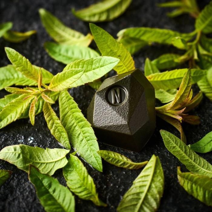 tadoka verbena di norohy