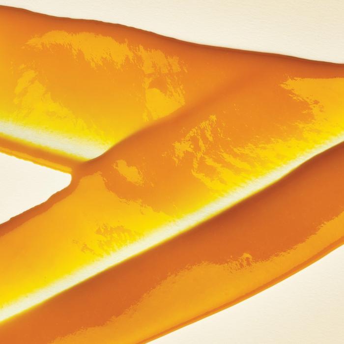mango kesar alphonso in purea 1 kg di adamance