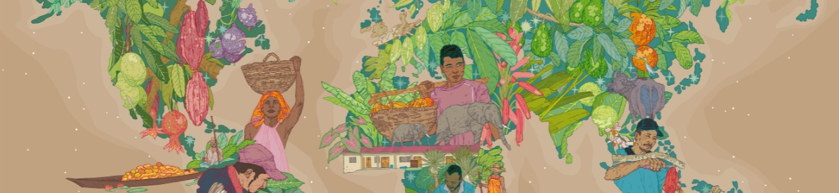 L’expression des terroirs : choisir selon l’origine des fèves