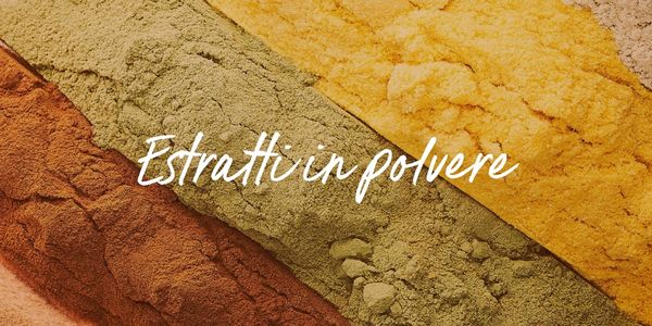 Estratti in polvere