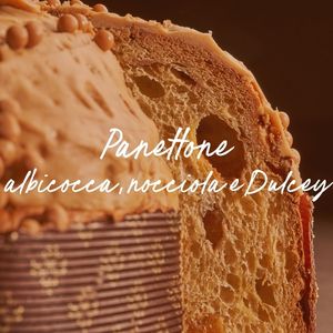 Panettone albicocca, nocciola e Dulcey