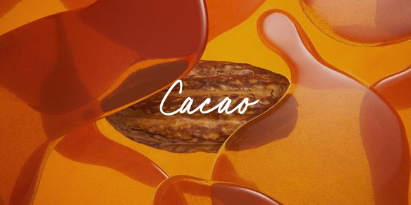 Cacao